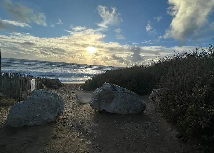 Campsite Ile D'oleron La Cotiniere